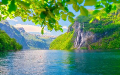 Unique Wellness Journeys